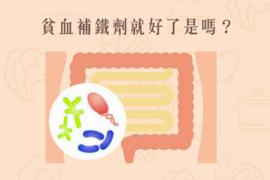 Read more about the article 小知識｜貧血補鐵劑就好了是嗎？