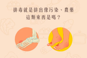 Read more about the article 小知識｜排毒就是排出污染、農藥嗎？