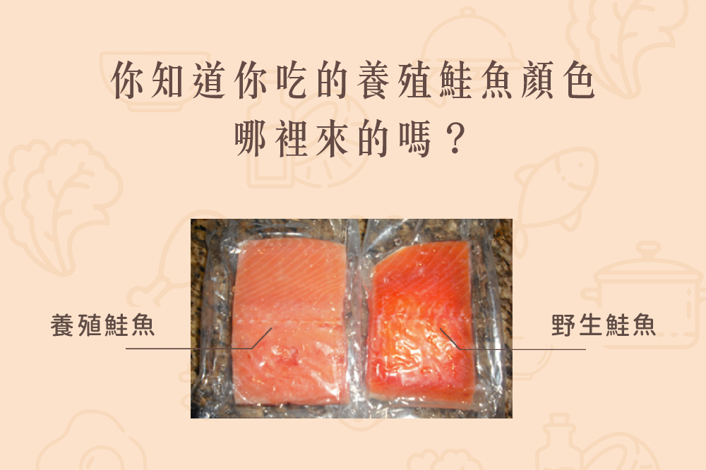 Read more about the article 小知識｜你吃的養殖鮭魚顏色是哪裡來的？