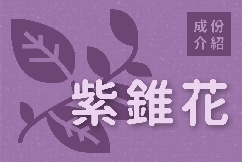 Read more about the article 成份介紹｜紫錐花