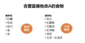 動物性的維他命A食物可被身體直接利用，而植物性的還需先經過身體轉換