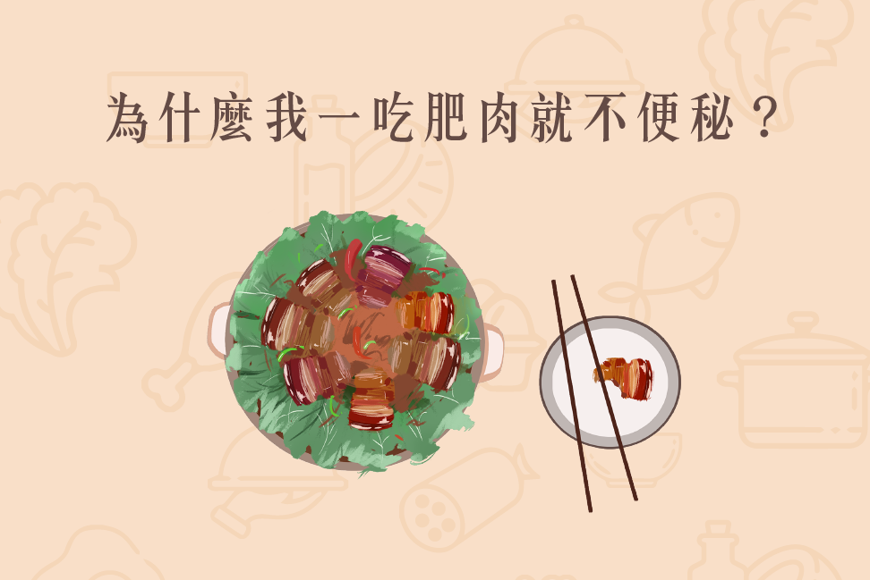 Read more about the article 小知識｜為什麼我一吃肥肉就不便秘？