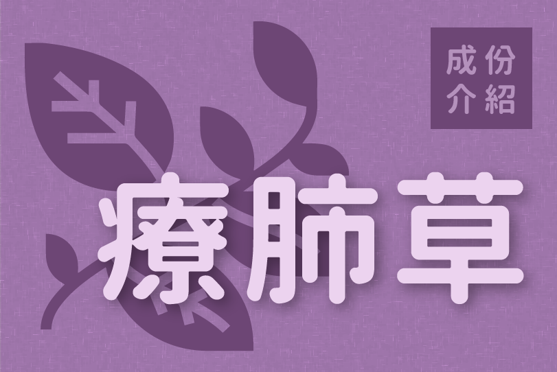 Read more about the article 成份介紹｜療肺草