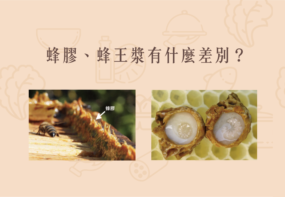 Read more about the article 小知識｜蜂膠、蜂王漿有什麼差別？