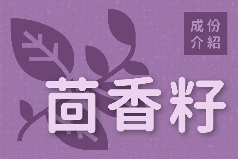 Read more about the article 成份介紹｜茴香籽